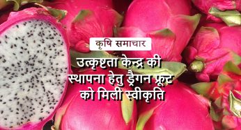 आर्थिक विकास को बढ़ावा देने वाला किसानों के लिए 21वीं सदी की चमत्कारी फसल
