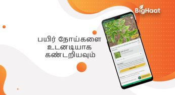 பயிர் மருத்துவர்