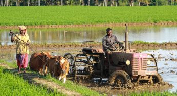నేషనల్ మిషన్ ఆన్ నేచురల్ ఫార్మింగ్ (NMNF)