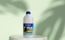 Celjal