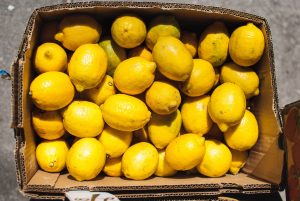 lemon cultivation