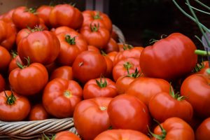 Tomato farming