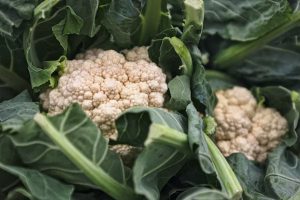 Cauliflower varieties