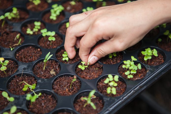 Organic Farming Subsidy