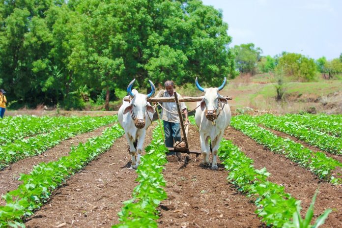 Bihar Fasal Sahayata Yojana