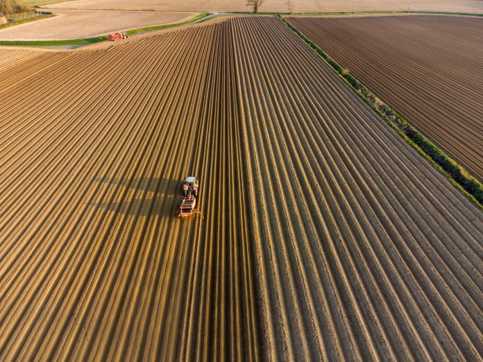 Field Preparation for Potato