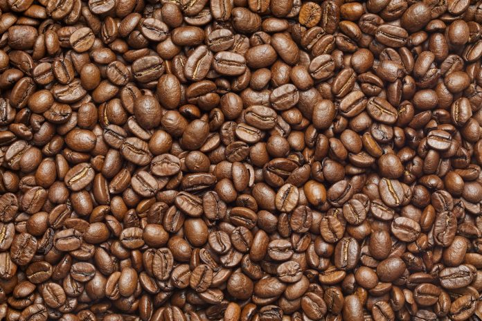 Field Preparation for Coffee