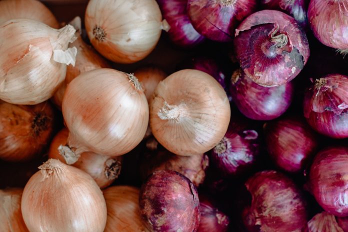 Field Preparation for Onions