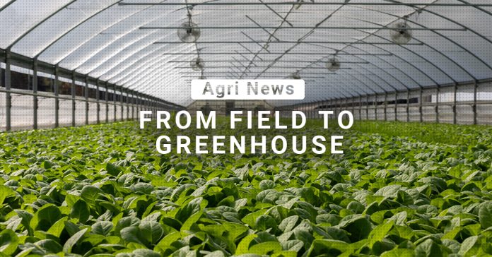 From Field to Greenhouse