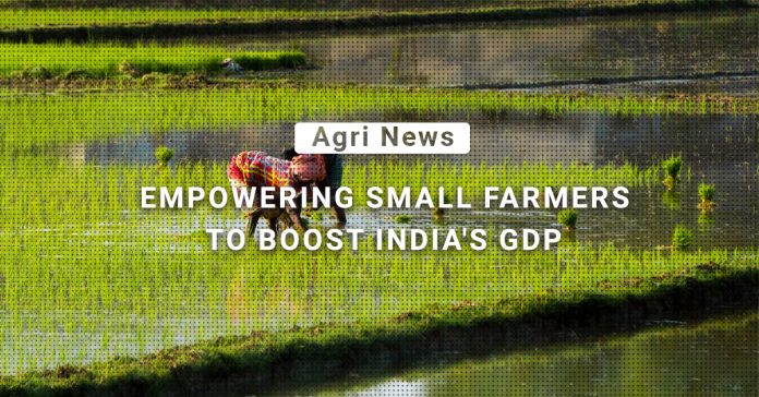 The Rise of Small Farmers: Transforming India's Agricultural Landscape