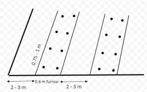 Furrow method