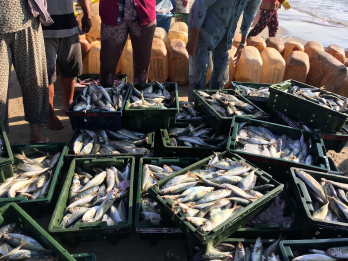 The Indian Council of Agricultural Research (ICAR) conducts research regularly to develop climate-resilient strategies for the sustainability of aquaculture and fisheries