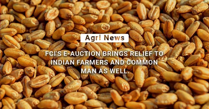 Harvesting A Win-Win Deal: FCI's E-Auction Brings Relief To Indian Farmers And Common Man As Well