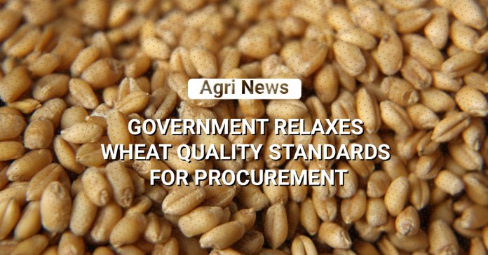 Government Relaxes Quality Rules, Wheat Procurement In India Breaks Records
