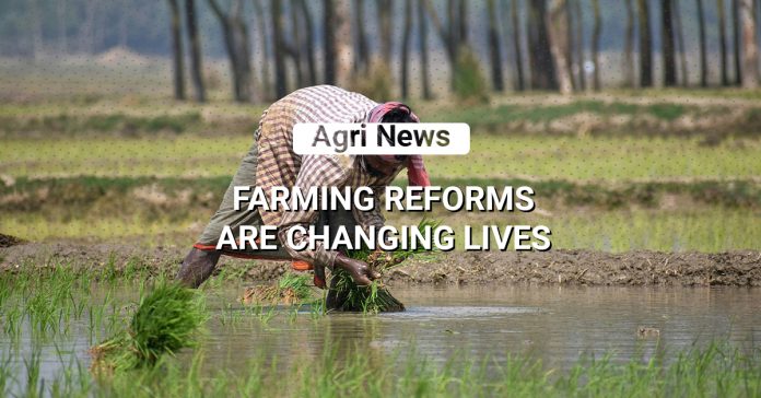 The Road To Abundance: How Farming Reforms Are Changing Lives