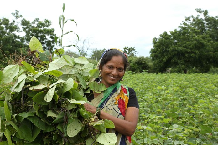Empowerment of Women in Agriculture - Promotion of Entrepreneurship for Women SHG