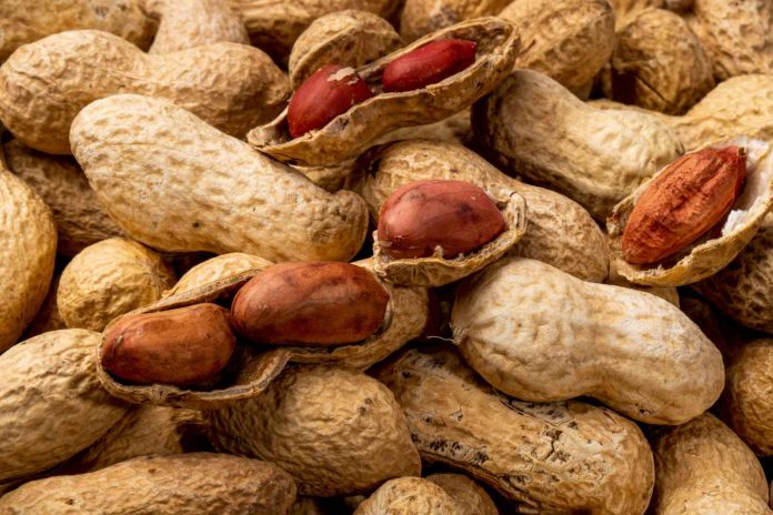 Best Practice To Improve Groundnut/Peanut Yields