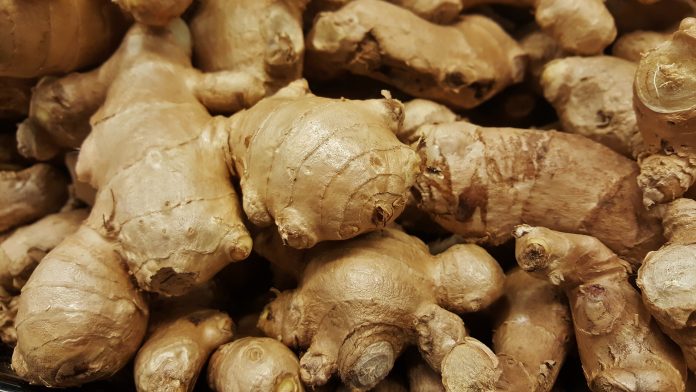 Soft Rot Threat: Protecting Ginger From Destruction
