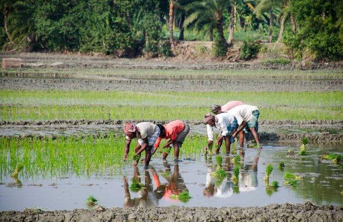 Kisan Credit Card (KCC) Scheme
