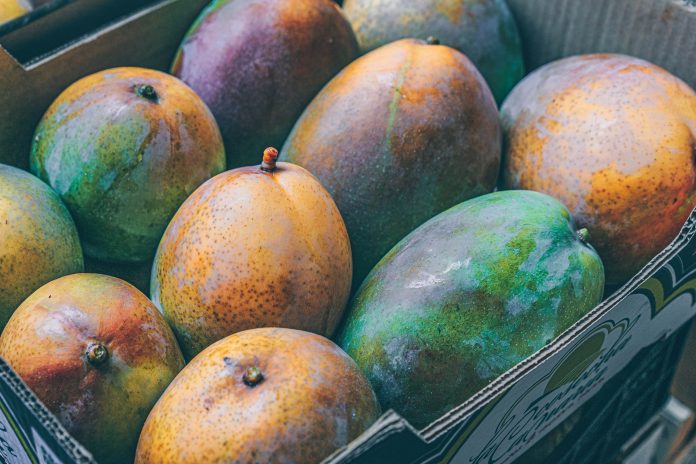 Post Harvest Disease Management In Mango