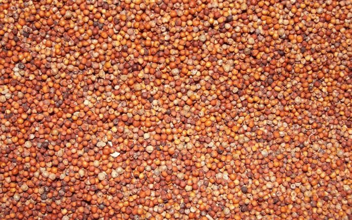 Production Linked Incentives Scheme For Food Processing Industry For Millets Based Production (PLISMBP)