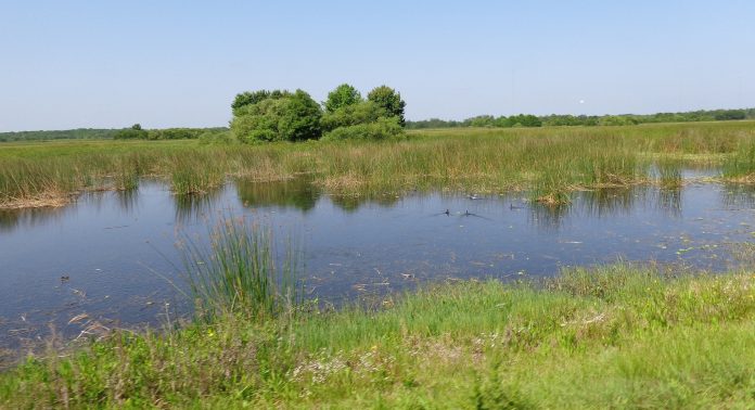 National Plan for Conservation of Aquatic Ecosystems (NPCA)
