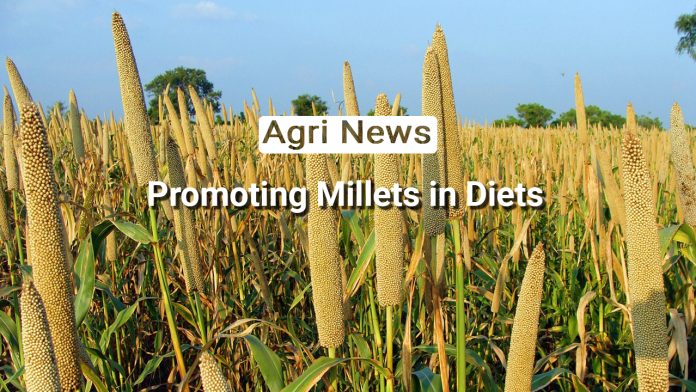 Fueling A Millet Movement: NITI Aayog’s Blueprint For A Healthier India