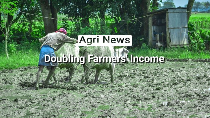 Doubling Farmers' Income: Government Schemes and Strategies for Agricultural Prosperity