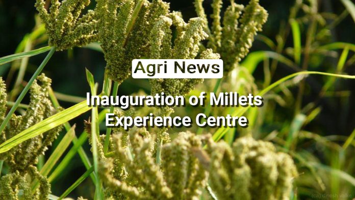 Embrace the Millet Movement: Unveiling the Millets Experience Centre in Dilli Haat