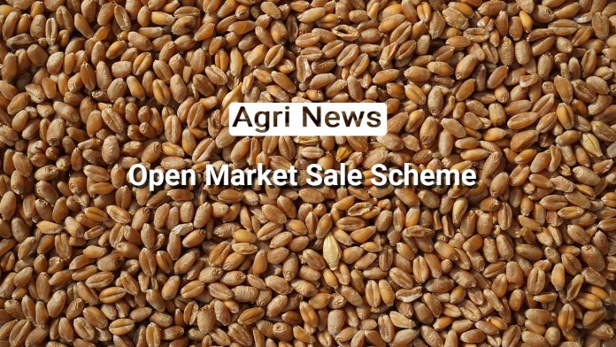 Revitalizing Agriculture: Open Market Sale Scheme (Domestic) [OMSS(D)] and the Quest for Balanced Markets