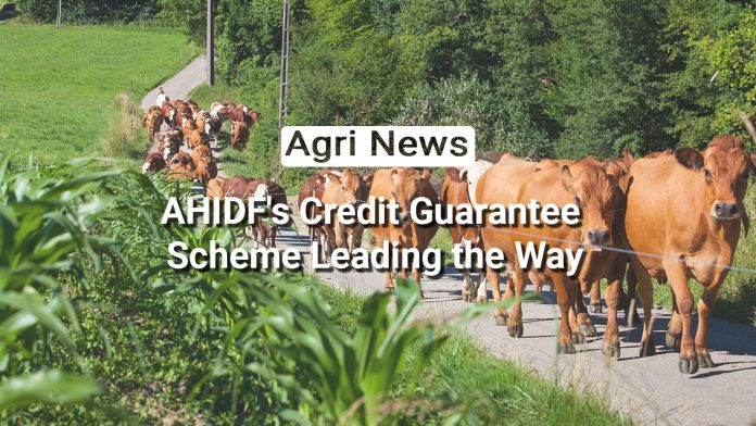 Livestock Sector Boom: AHIDF's Credit Guarantee Scheme Leading the Way