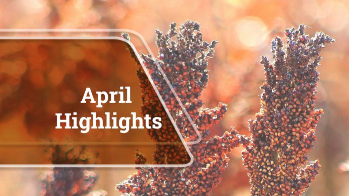 Agriculture at a Glance: April Highlights