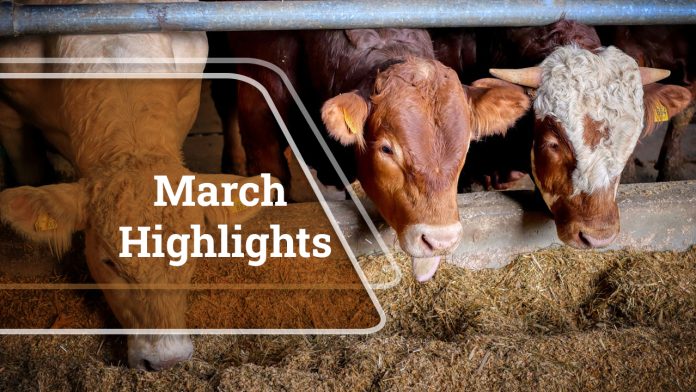 Agriculture News at a Glance: March Highlights