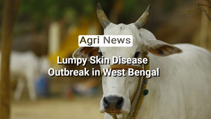 Lumpy Skin Disease Outbreak in West Bengal: AHD's Prompt Measures for Livestock Protection