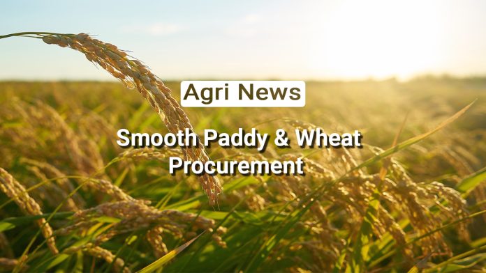 Punjab, MP & Haryana Shine: Leading States in Paddy and Wheat Procurement Efforts