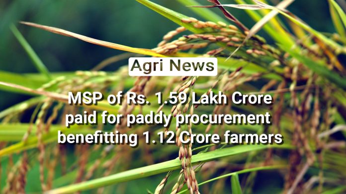 One Nation, One MSP: Revolutionizing Paddy Procurement for Farmers