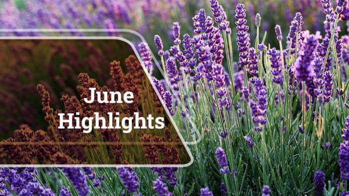 Agriculture at a Glance: June Highlights