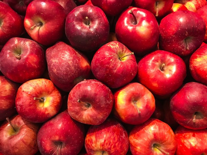 Post Harvest Management for Apples 