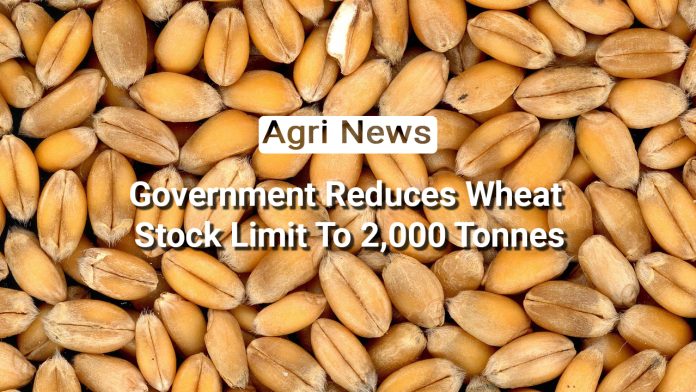 Grains of Change: India's Wheat Stock Limit Overhaul