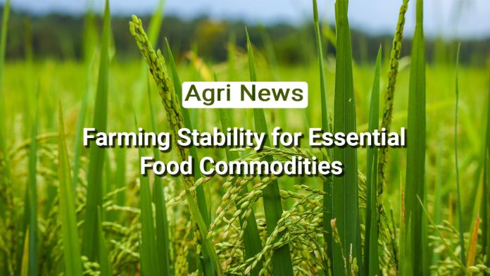 Stability in Farming: Ensuring Affordability and Availability of Essential Food Commodities