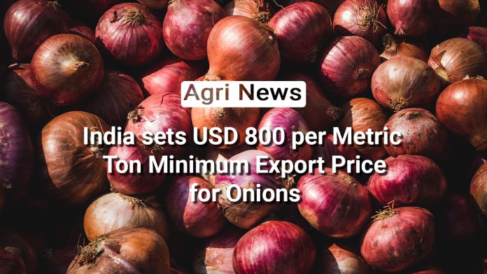 Nurturing India's Agriculture: A Closer Look at Onion Price Dynamics