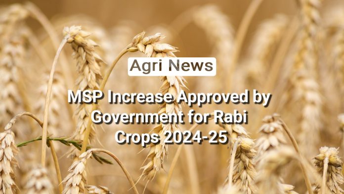 Empowering Farmers: Government Approves MSP Increase for Rabi Crops 2024-25