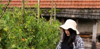 full-shot-woman-picking-tomatoes