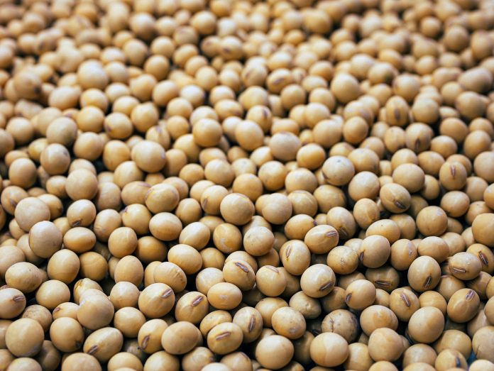 Soybean: Planting & Package of Practices