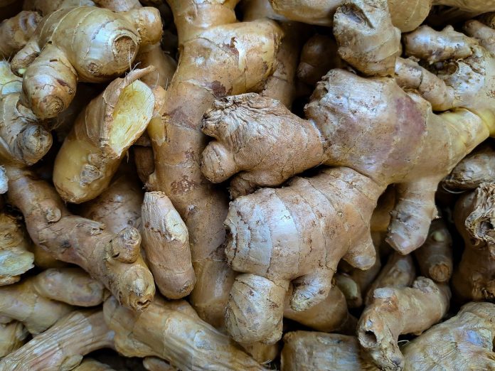 Ginger: Planting & Package of Practices