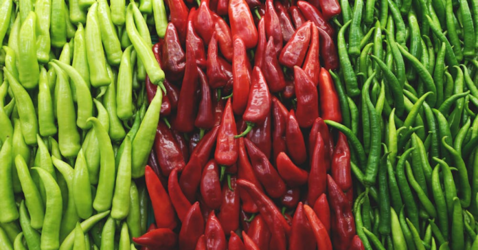 Geolife Tabsil: Boosts Chilli Crop Health, Growth, and Resistance at All Stages 