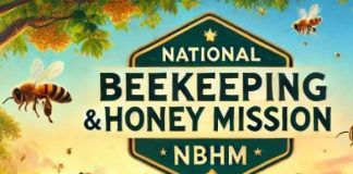 DALL·E 2024-06-21 14.51.15 - A vibrant and inviting cover image for the National Beekeeping and Honey Mission (NBHM). The image should feature a picturesque landscape with bloomin (1)