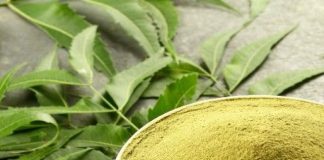 Neem powder