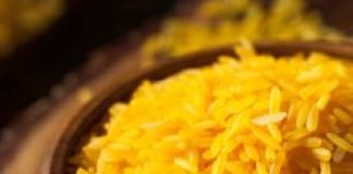 golden rice