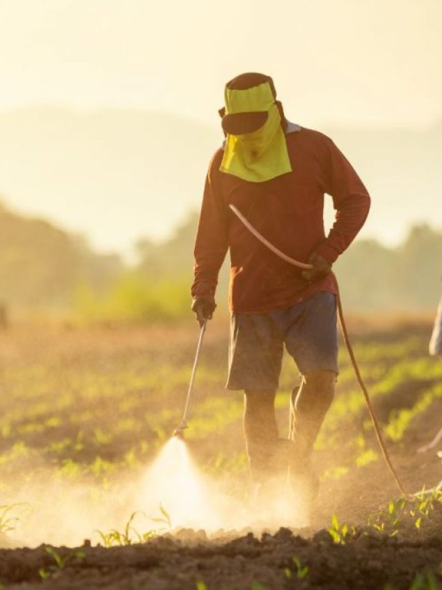 2024 Budget Pesticide and Fertilizer Subsidies